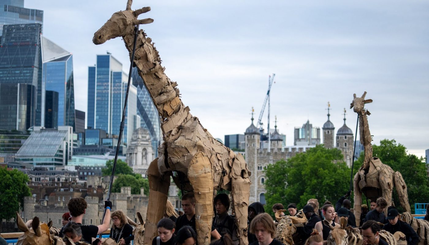 Large, textured cardboard giraffe puppets being operated by people in a parade through London, with the Tower of London and city skyscrapers in the background.