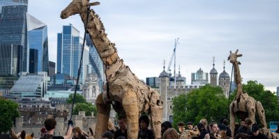 Large, textured cardboard giraffe puppets being operated by people in a parade through London, with the Tower of London and city skyscrapers in the background.