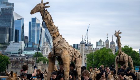Large, textured cardboard giraffe puppets being operated by people in a parade through London, with the Tower of London and city skyscrapers in the background.