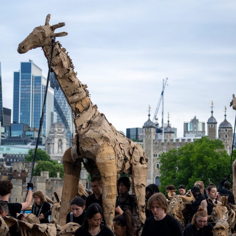 Large, textured cardboard giraffe puppets being operated by people in a parade through London, with the Tower of London and city skyscrapers in the background.