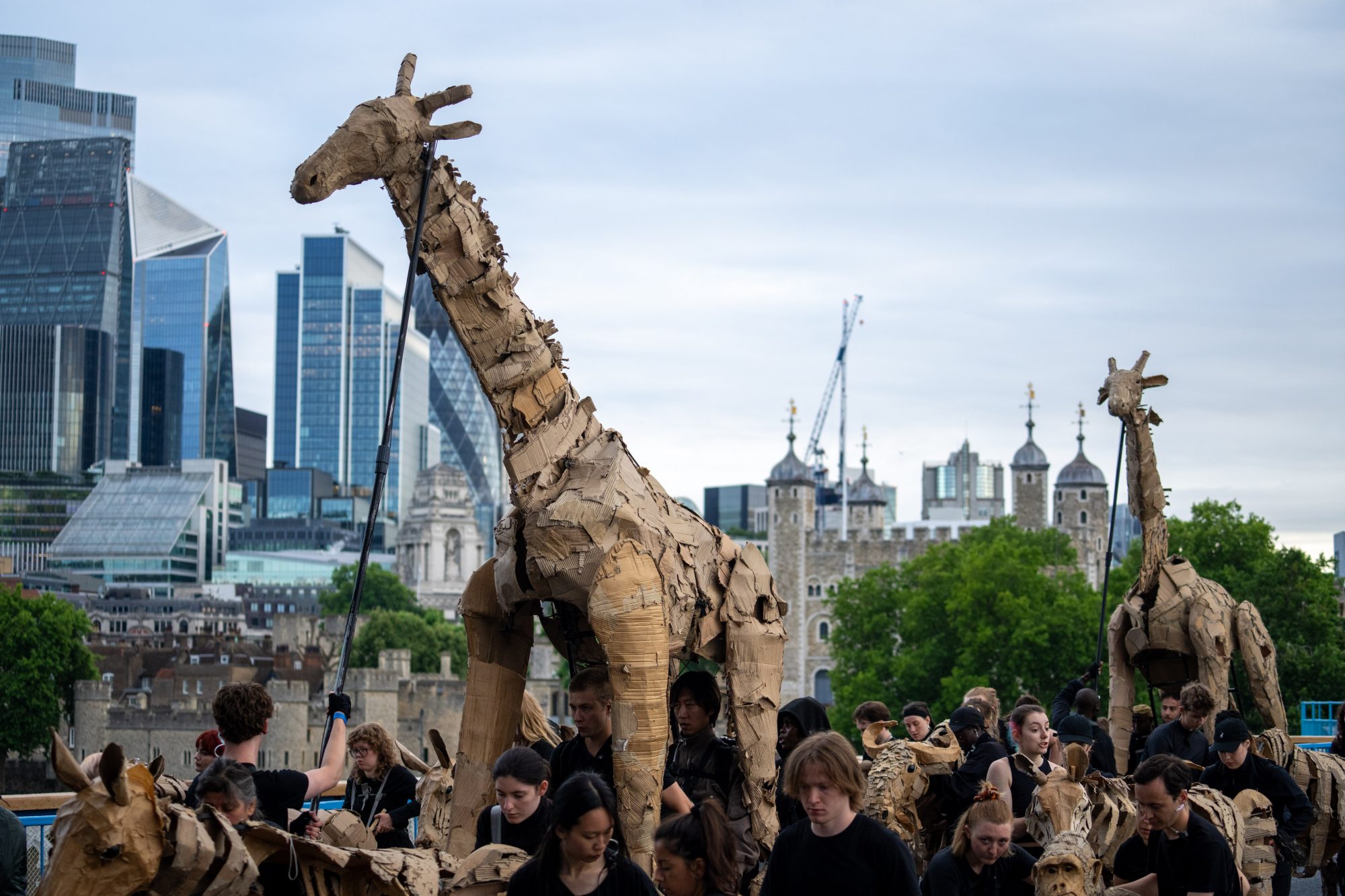 Large, textured cardboard giraffe puppets being operated by people in a parade through London, with the Tower of London and city skyscrapers in the background.