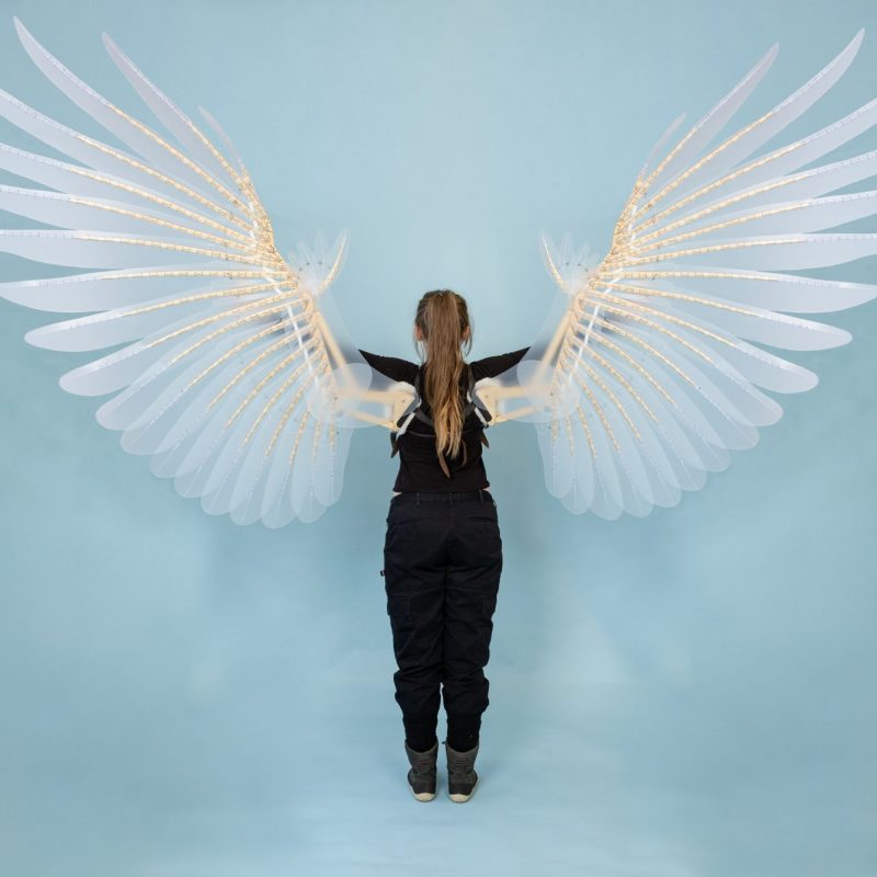 A woman with her back to the camera holds a pair of large, intricate, feathered wings, showcasing their detailed texture and scale.