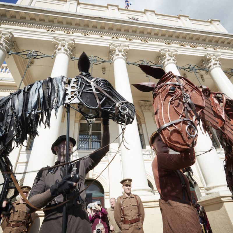 War Horse's Joey and Topthorn @ Theatre Royal