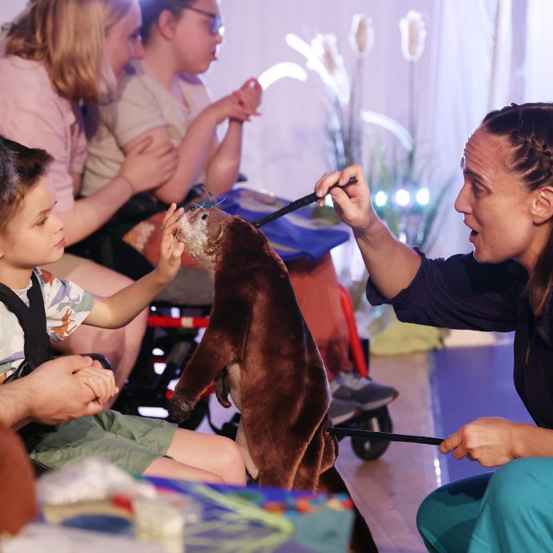 A performer uses rods to move a realistic brown otter puppet toward a young boy, who reaches out to touch its nose.